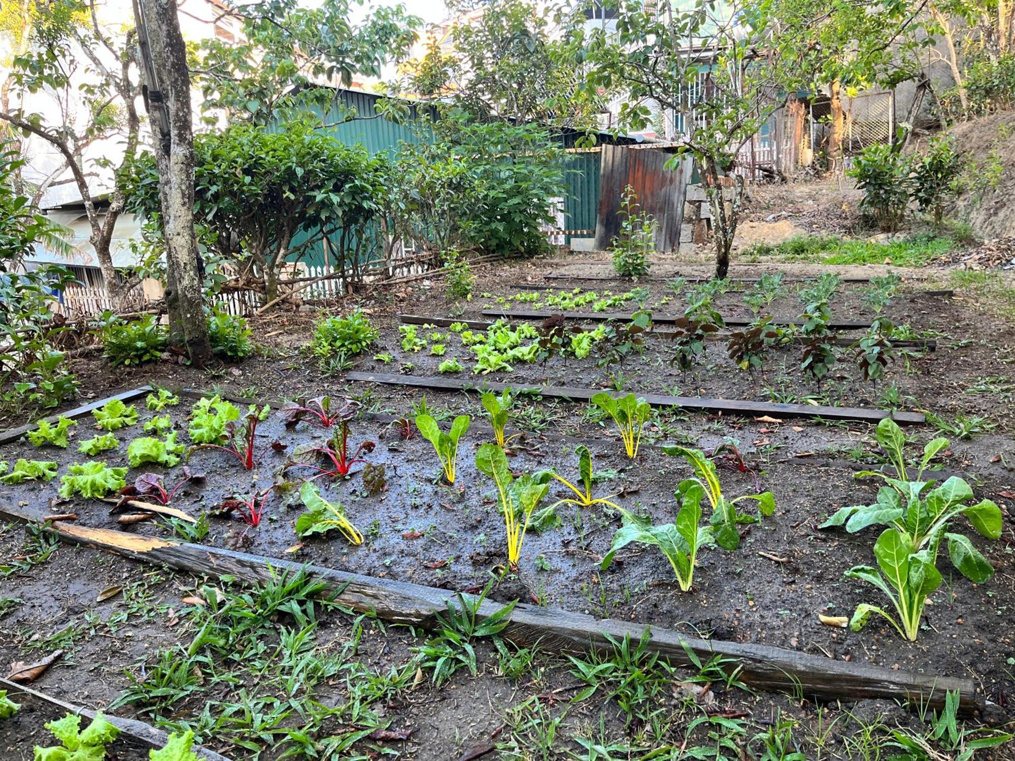 Nap O Teepee Homestay Da Lat Exterior photo